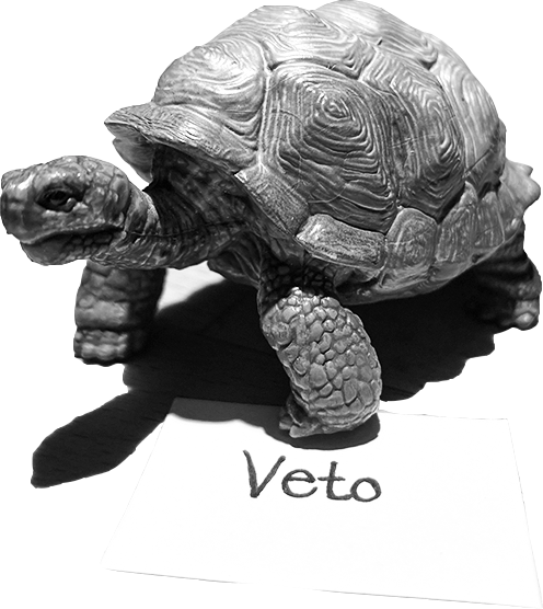 Veto Schildkröte